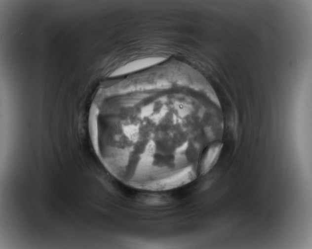 X0000085290663200703301939