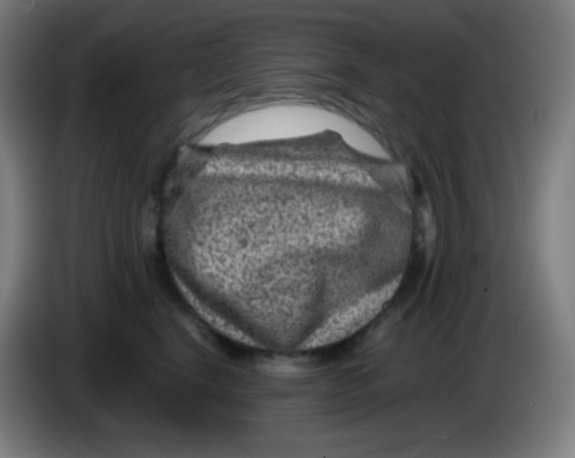 X0000085290664200703301939
