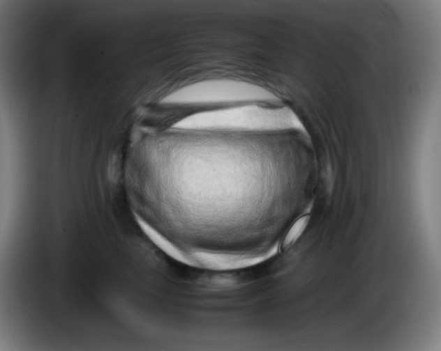 X0000085290665200703301939