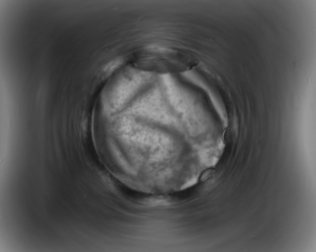 X0000085290668200703301939