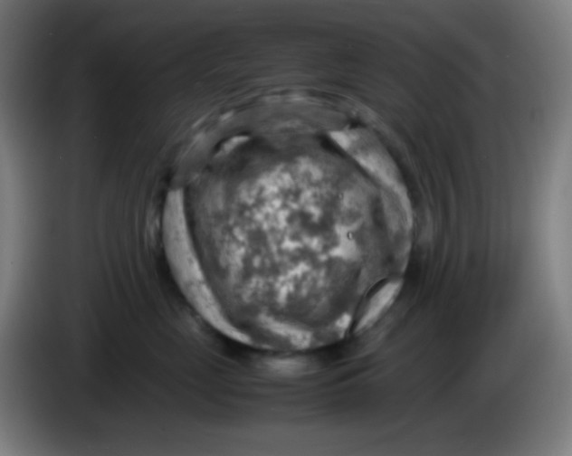 X0000085290669200703301939