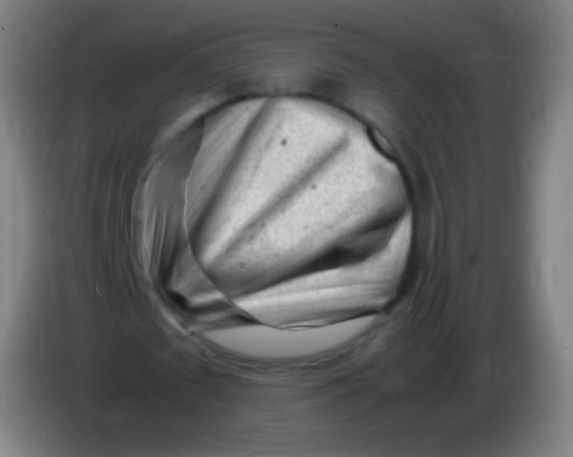 X0000085290673200703301939