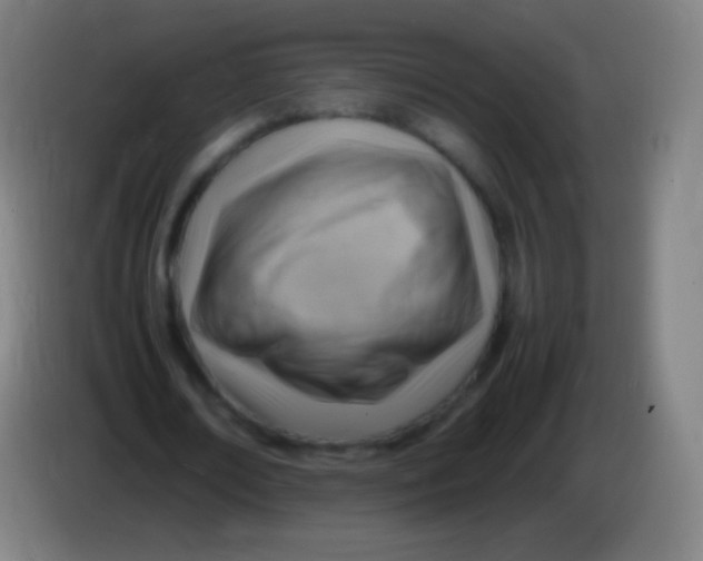 X0000085290674200703301939