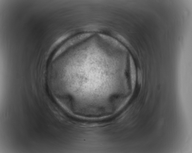 X0000085290675200703301939