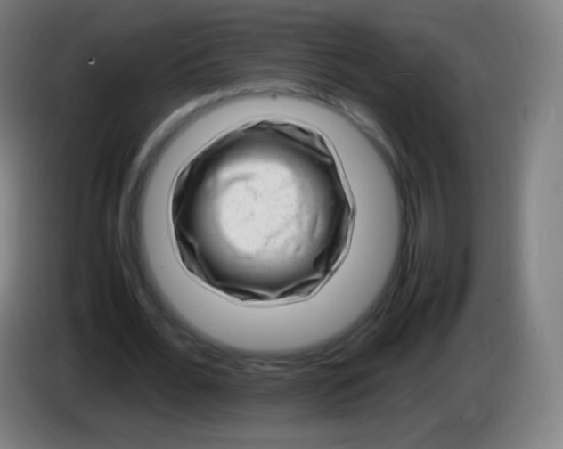 X0000085290676200703301938