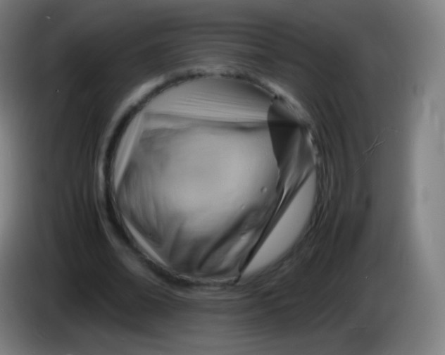 X0000085290678200703301938
