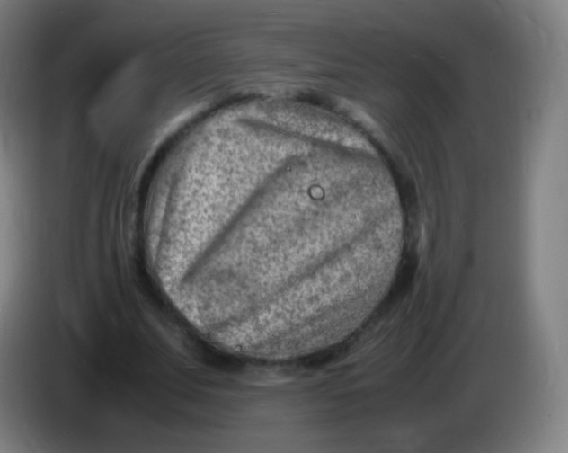 X0000085290679200703301938