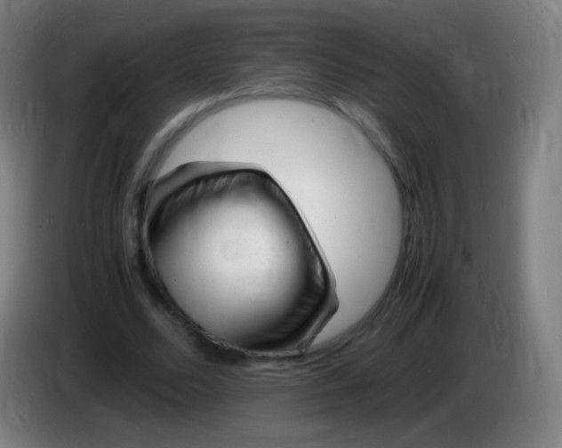 X0000085290680200703301938