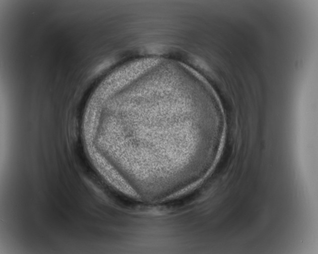 X0000085290683200703301938
