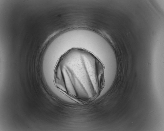 X0000085290684200703301938