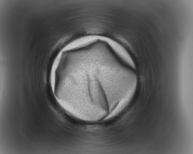 X0000085290686200703301938