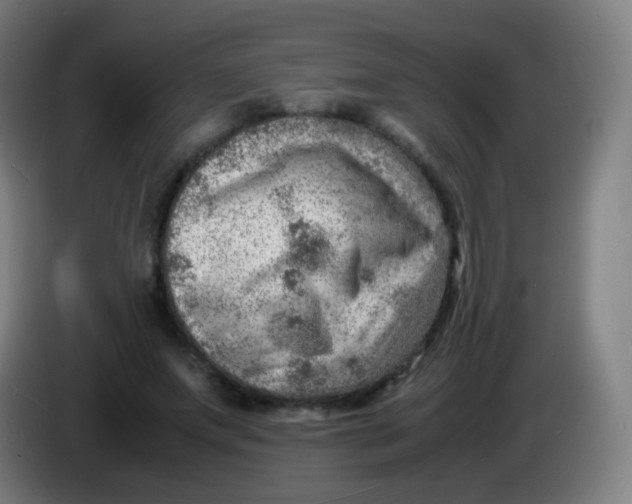 X0000085290687200703301938
