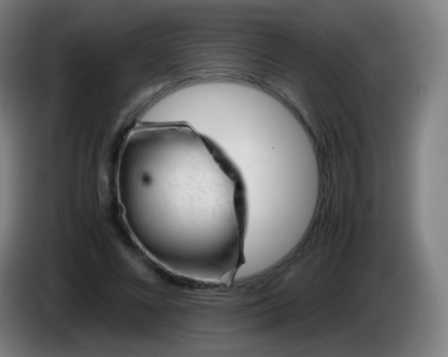 X0000085290688200703301938