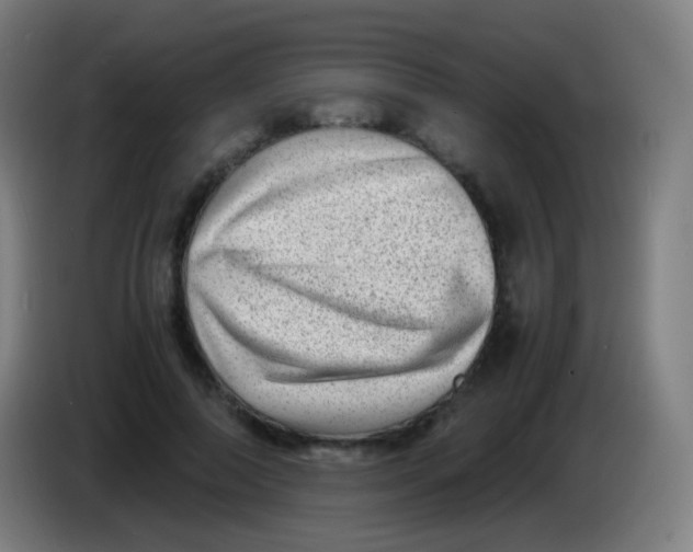 X0000085290690200703301938