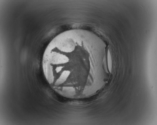 X0000085290691200703301938