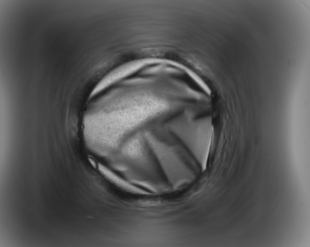 X0000085290693200703301938