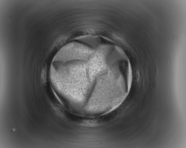 X0000085290694200703301938