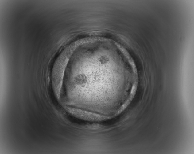 X0000085290695200703301938