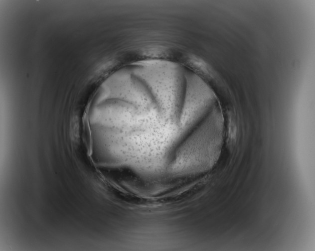 X0000085290696200703301938