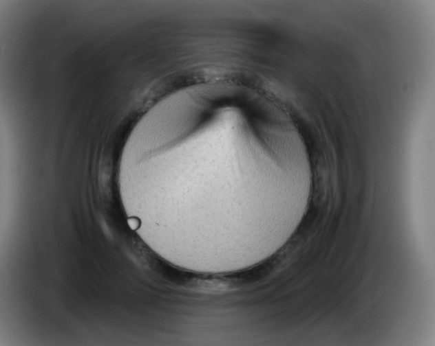 X0000085290698200703301938