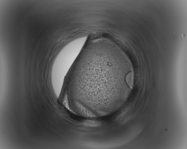 X0000085290699200703301938