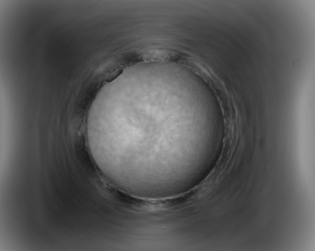 X0000085290701200703301938