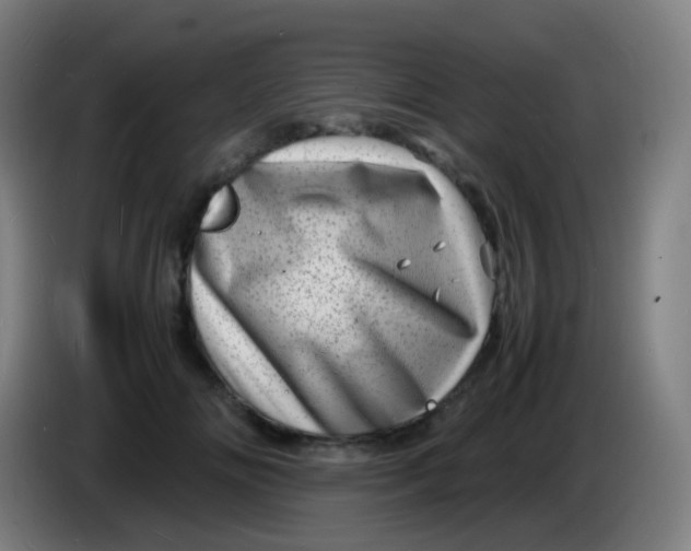 X0000085290702200703301938