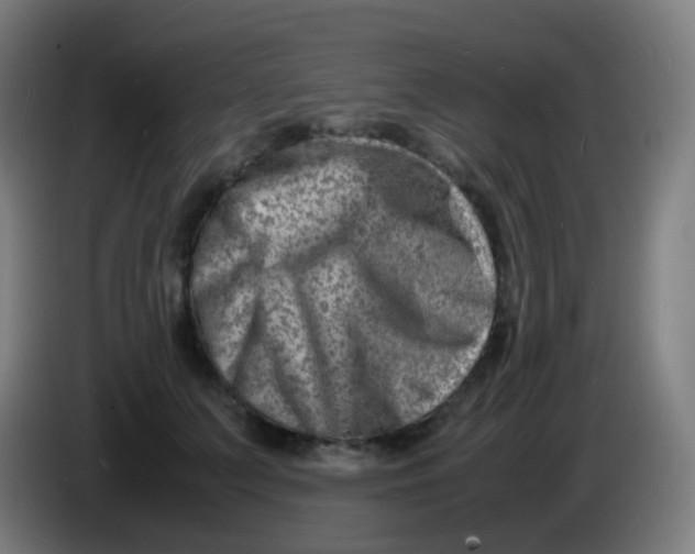 X0000085290703200703301938