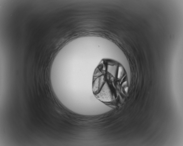 X0000085290704200703301938