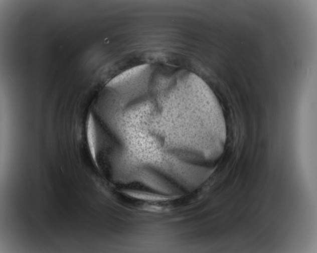 X0000085290706200703301938