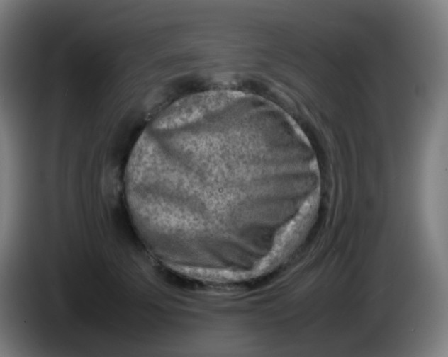 X0000085290707200703301938
