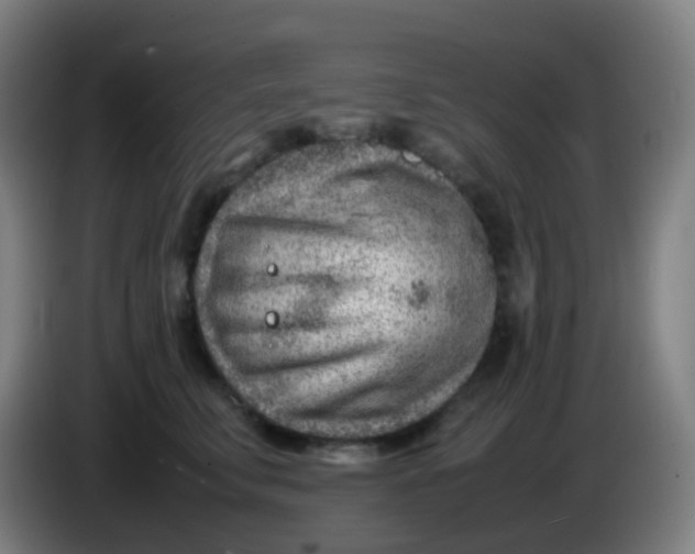X0000085290711200703301938