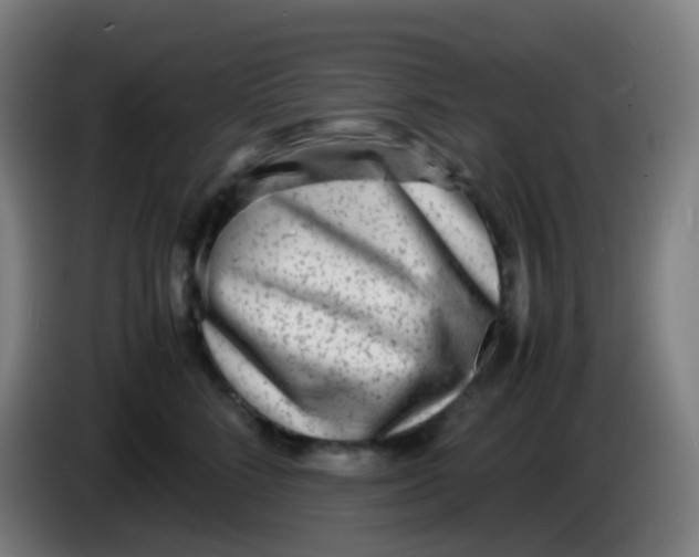 X0000085290712200703301938