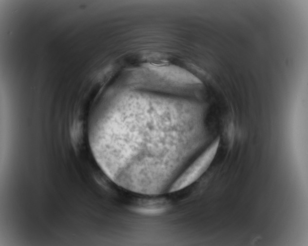 X0000085290716200703301938