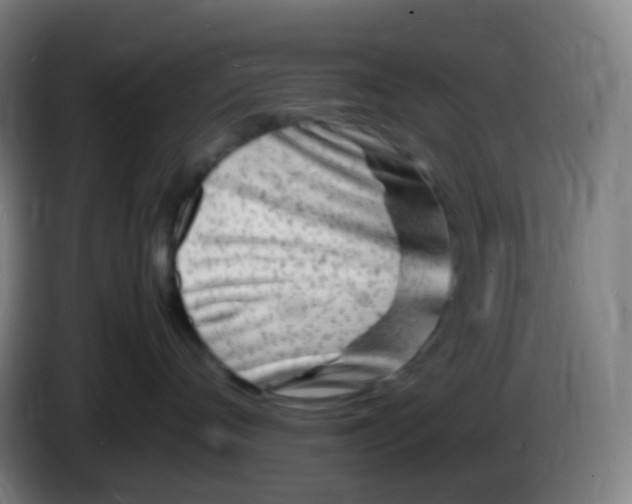X0000085290720200703301938