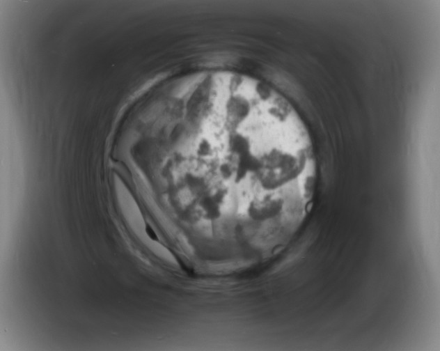 X0000085290721200703301937