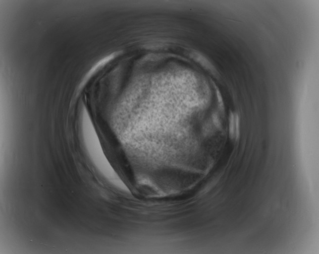X0000085290723200703301937