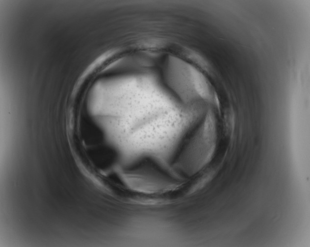 X0000085290726200703301937