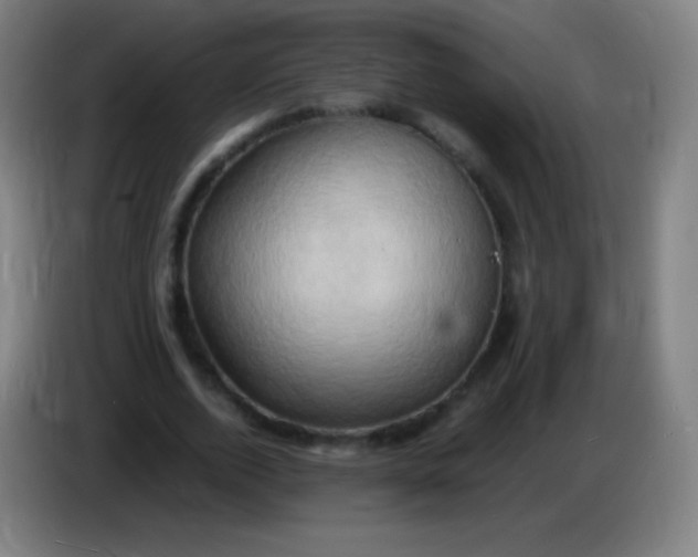 X0000085290728200703301937
