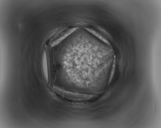 X0000085290729200703301937