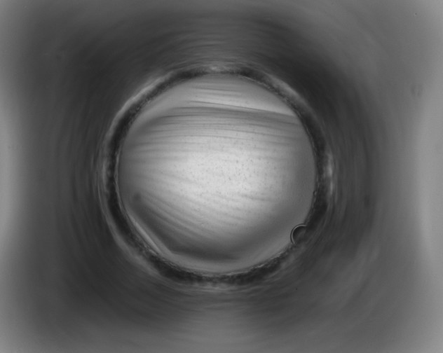 X0000085290730200703301937