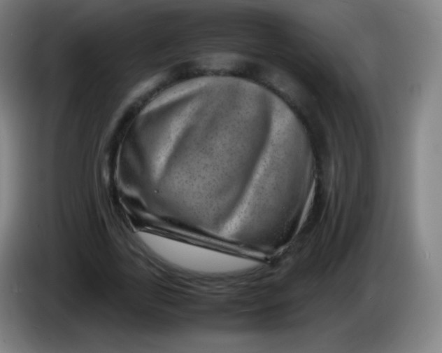 X0000085290731200703301937