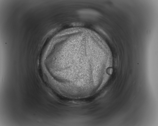 X0000085290733200703301937