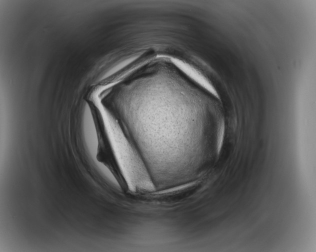 X0000085290734200703301937
