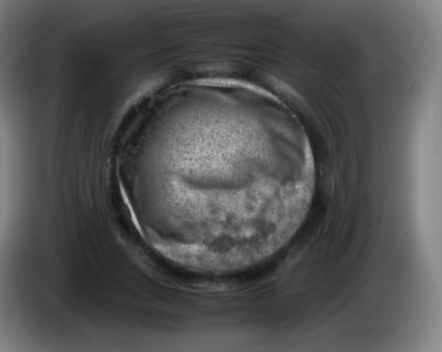 X0000085290735200703301937