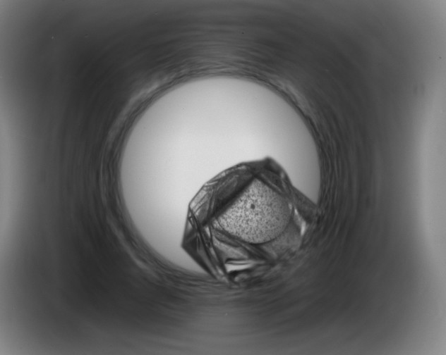 X0000085290736200703301937