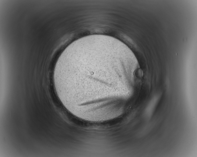 X0000085290738200703301937