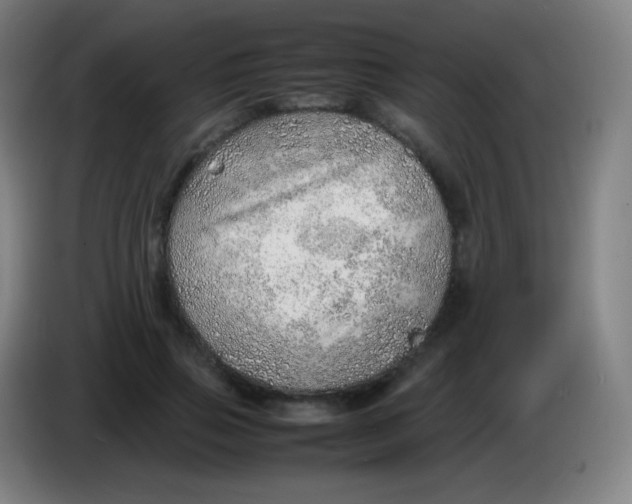 X0000085290741200703301937