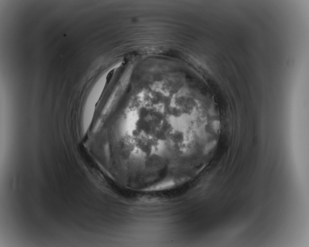 X0000085290742200703301937