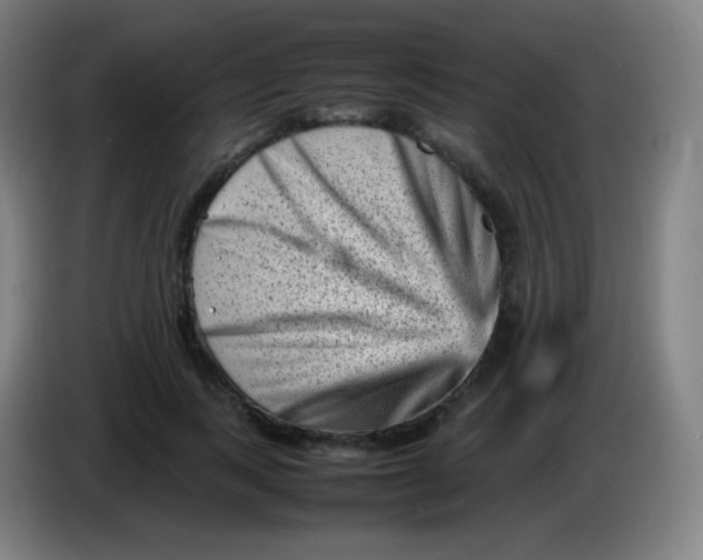 X0000085290743200703301938